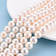 Natural Cultured Freshwater Pearl Beads Strands PEAR-S012-72-4