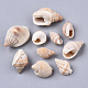 Natural Spiral Shell Beads SSHEL-S258-77-2