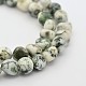 Natural Agate Bead Strands G-P0707-35-1