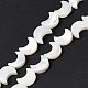 Chapelets de perles de coquille de trochid / trochus coquille SSHEL-N032-25A-2