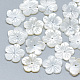 Perles de coquillage blanc naturel SSHEL-S260-007-1