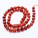 Chapelets de perles en cornaline naturelle G-K260-06B-2