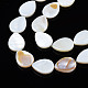 Eau douce naturelle de coquillage perles brins SHEL-S278-068-3