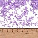 Выпечка краска стеклянные бусины X-SEED-S042-05B-71-4
