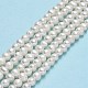 Natural Cultured Freshwater Pearl Beads Strands PEAR-F018-15-01-2