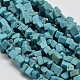 Chips Natural Turquoise Beads Strands G-N0134-06-1