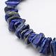 Natural Lapis Lazuli Beads Strands G-F521-18-3
