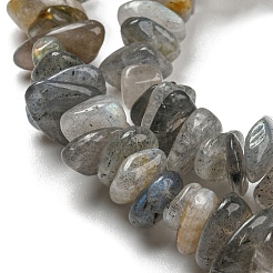 Natur Labradorit Chip Bead Stränge&nbsp;G-M205-13