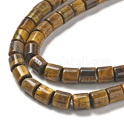 Natürlichen Tigerauge Perlen Stränge&nbsp;G-L619-C03-6mm