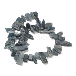 Natürliche kyanite Perlen Stränge&nbsp;G-C253-04
