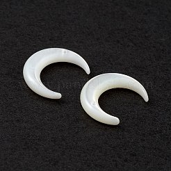 Natürlichen weißen Muschelperlen&nbsp;SSHEL-M021-14