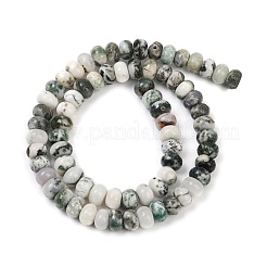 Albero naturale agata perline fili&nbsp;G-NH0046-C01-02