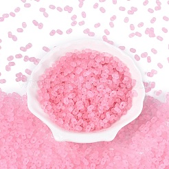 Perles de rocaille en verre transparent dépoli fgb&nbsp;SEED-N013-06A-05