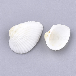 Clam-Shell-Perlen&nbsp;SSHEL-S258-48