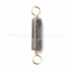 Breloques connecteurs larvikite naturels&nbsp;PALLOY-JF01454-05