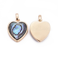 Natürliche Abalone Shell / Paua Shellcharms&nbsp;BSHE-F011-04B-G
