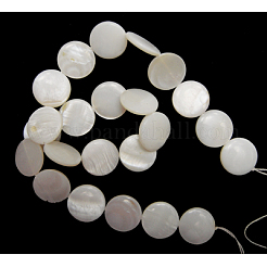 Perles de coquillages naturels d'eau douce&nbsp;X-S00C20A2