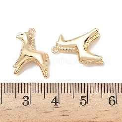 Messing Anhänger & Charms&nbsp;KK-L254-09G