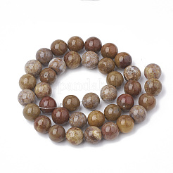 Natürliche Jade Perlen Stränge&nbsp;G-S281-54-4mm