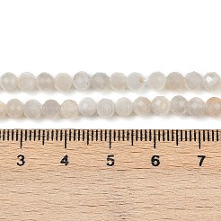 Natürlichen weißen Mondstein Perlen Stränge&nbsp;G-F798-A02-02