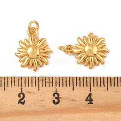 Messing Anhänger & Charms&nbsp;KK-K364-24B-G
