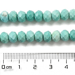 Gefärbte natürliche Howlith-Perlenstränge&nbsp;G-G023-A01-01C