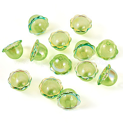 30 capuchon de perles en acrylique plaqué UV.&nbsp;PACR-TA0001-17E