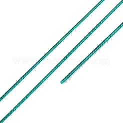 Fil d'acier rond à 7 brin recouvert de nylon&nbsp;TWIR-T002-01A-07