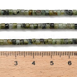 Natürliche afrikanische türkis (jasper) perlen stränge&nbsp;G-P608-A13-01