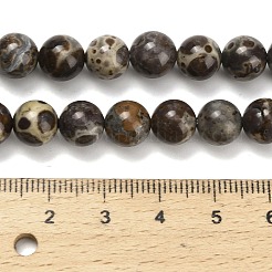 Brins de perles de jaspe astroite naturel&nbsp;G-F814-A01-8mm