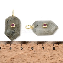 Pendentifs de labradorite naturelle&nbsp;KK-CBAF9BC-20G-01