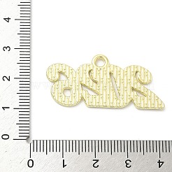 Aluminium Anhänger & Charms&nbsp;FIND-Z108-06LG