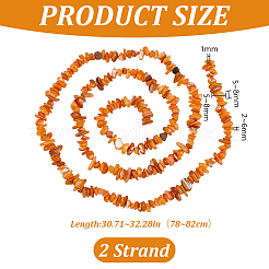Naturali di acqua dolce perline shell fili&nbsp;BSHE-WH0006-05A