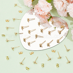 100 Stück Ohrstecker-BeZubehör aus 304 Edelstahl mit Kugeln&nbsp;STAS-SP0001-55G
