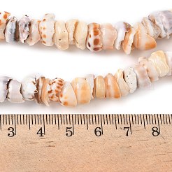 Natürlichen Muschelperlen Stränge&nbsp;SSHEL-F304-01