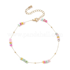 Tobilleras de cadena de eslabones de acero inoxidable 304 con cuentas de concha natural y disco teñido&nbsp;AJEW-AN00725