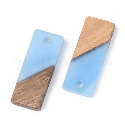 Colgantes de resina y madera de nogal&nbsp;X-RESI-S389-059A