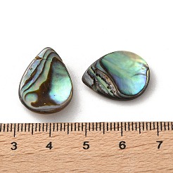 Paua Shell naturale perle&nbsp;SSHEL-F305-02B