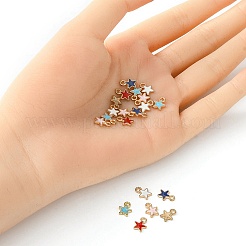 20pcs 5 Arten Legierungs-Emaille-Charms&nbsp;ENAM-YW0002-98