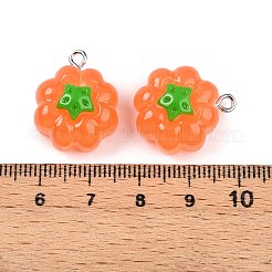 Pendentifs en résine opaque&nbsp;RESI-N039-124