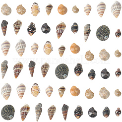150 g 5 Stile natürliche gemischte Muschelperlen&nbsp;SSHEL-SC0001-50