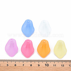 Transparent gefrostetem Acryl-Anhänger&nbsp;MACR-S371-03A