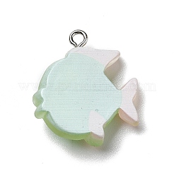 Pendenti in resina opaca&nbsp;X-RESI-D055-095P
