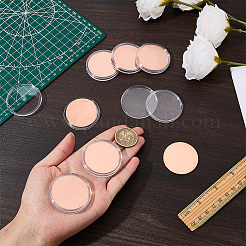 12 pièce commémorative vierge en fer&nbsp;AJEW-BC0011-02RG