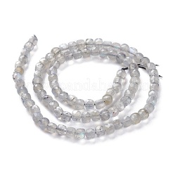 Natur Labradorit Perlen Stränge&nbsp;G-A026-B03-4mm