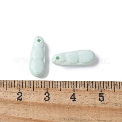 Breloques en agate d'Alashan arc-en-ciel naturelles&nbsp;G-G194-05C