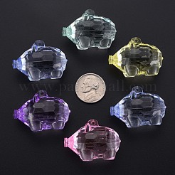 Transparenten Acryl-Anhänger&nbsp;MACR-S373-77-B