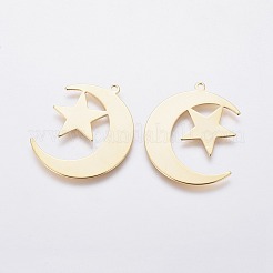 201 pendentifs en acier inoxydable&nbsp;LS-STAS-L234-119G