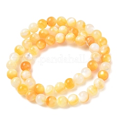 Jaune naturel coquille brins de perles&nbsp;SH-CBACA76-16A