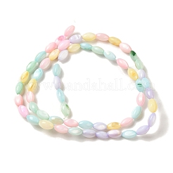 Fili di perline di conchiglia d'acqua dolce naturali tinti di colore arcobaleno&nbsp;SHEL-G018-02H